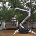 Simplicity of Spider Lifts