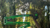 265 tree trimming