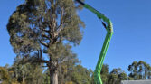 Leguan 195 Spider Lift_Superb Up & Over Reach - 3