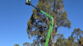 Leguan 195 Spider at height