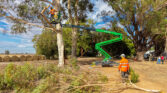 Leguan 265 Spider completing an Arborist weight reduction project - 5