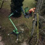 Are Arborists Undervaluing Access Equipment?