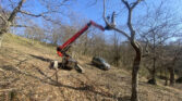 almac crane on steep slope working on tree