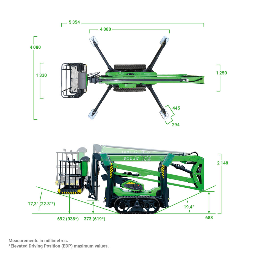 Leguan 170 dimensions