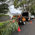 How the Forst XR8D Palm Removal Chipper Transformed Urban Arborist Operations in Sydney