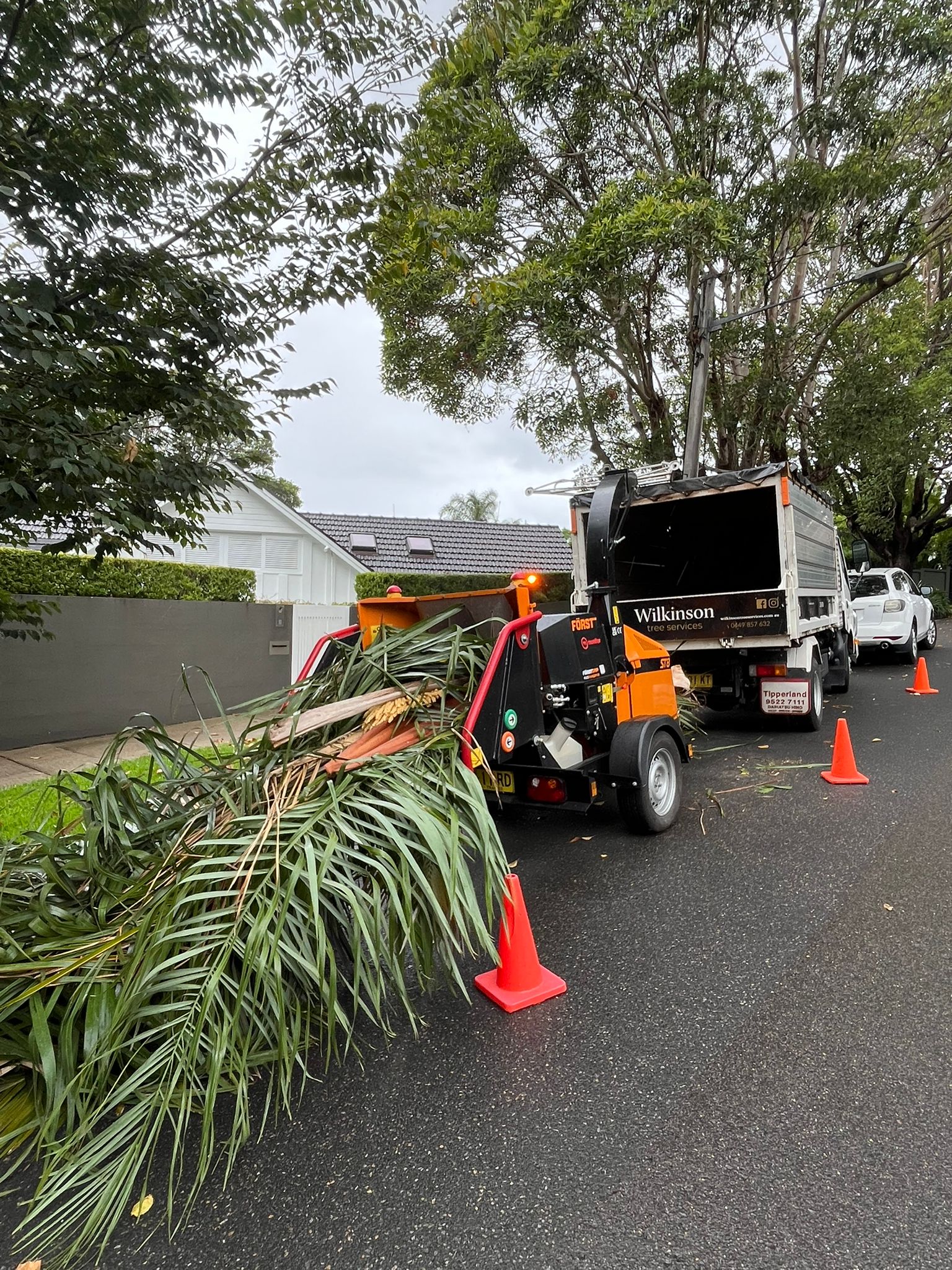Are Arborists Undervaluing Access Equipment?