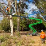 Jordan’s Trees Invests in the Leguan 265 to Take on Bigger Tree Work Safely, Faster and More Efficiently