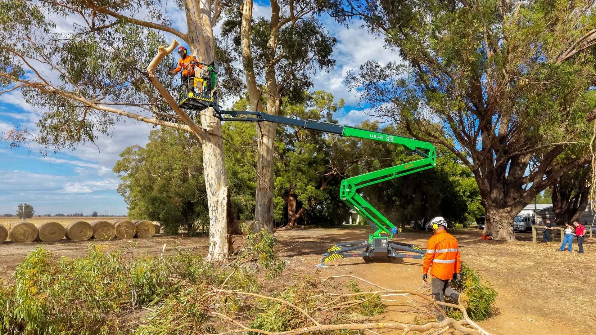 Jordan’s Trees Invests in the Leguan 265 to Take on Bigger Tree Work Safely, Faster and More Efficiently
